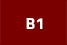 B1