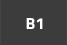 B1